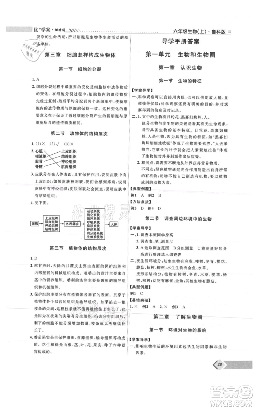 吉林教育出版社2021優(yōu)+學(xué)案課時(shí)通六年級上冊生物魯科版參考答案