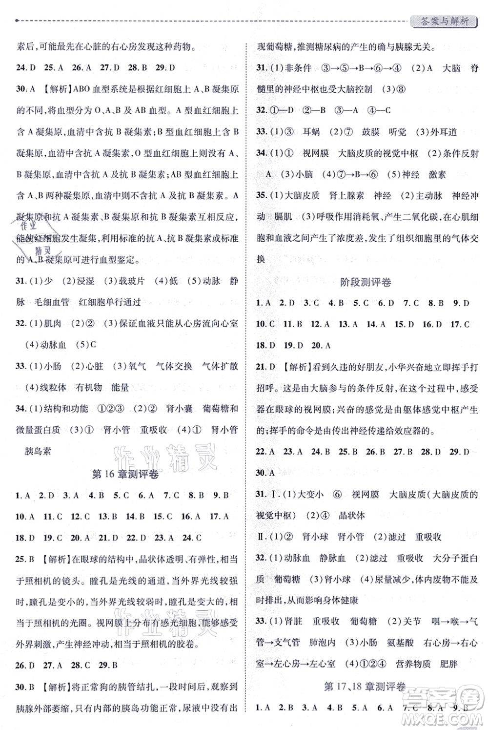 陜西師范大學(xué)出版總社有限公司2021績優(yōu)學(xué)案八年級(jí)生物上冊(cè)蘇科版答案