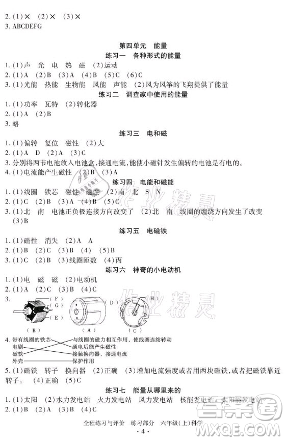 浙江人民出版社2021全程練習(xí)與評價六年級上冊科學(xué)教科版答案