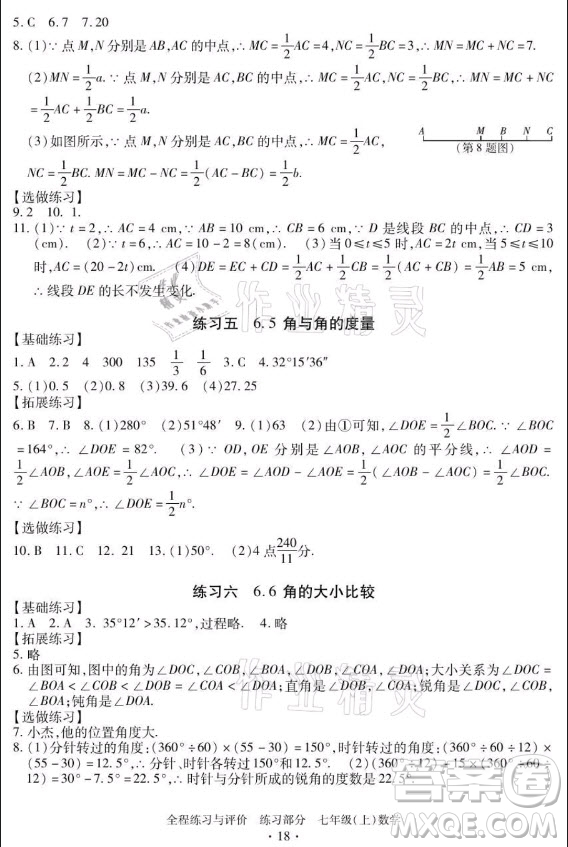 浙江人民出版社2021全程練習(xí)與評(píng)價(jià)七年級(jí)上冊(cè)數(shù)學(xué)浙教版答案