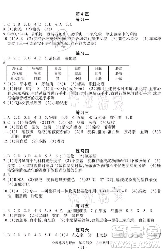 浙江人民出版社2021全程練習與評價九年級全一冊科學浙教版答案