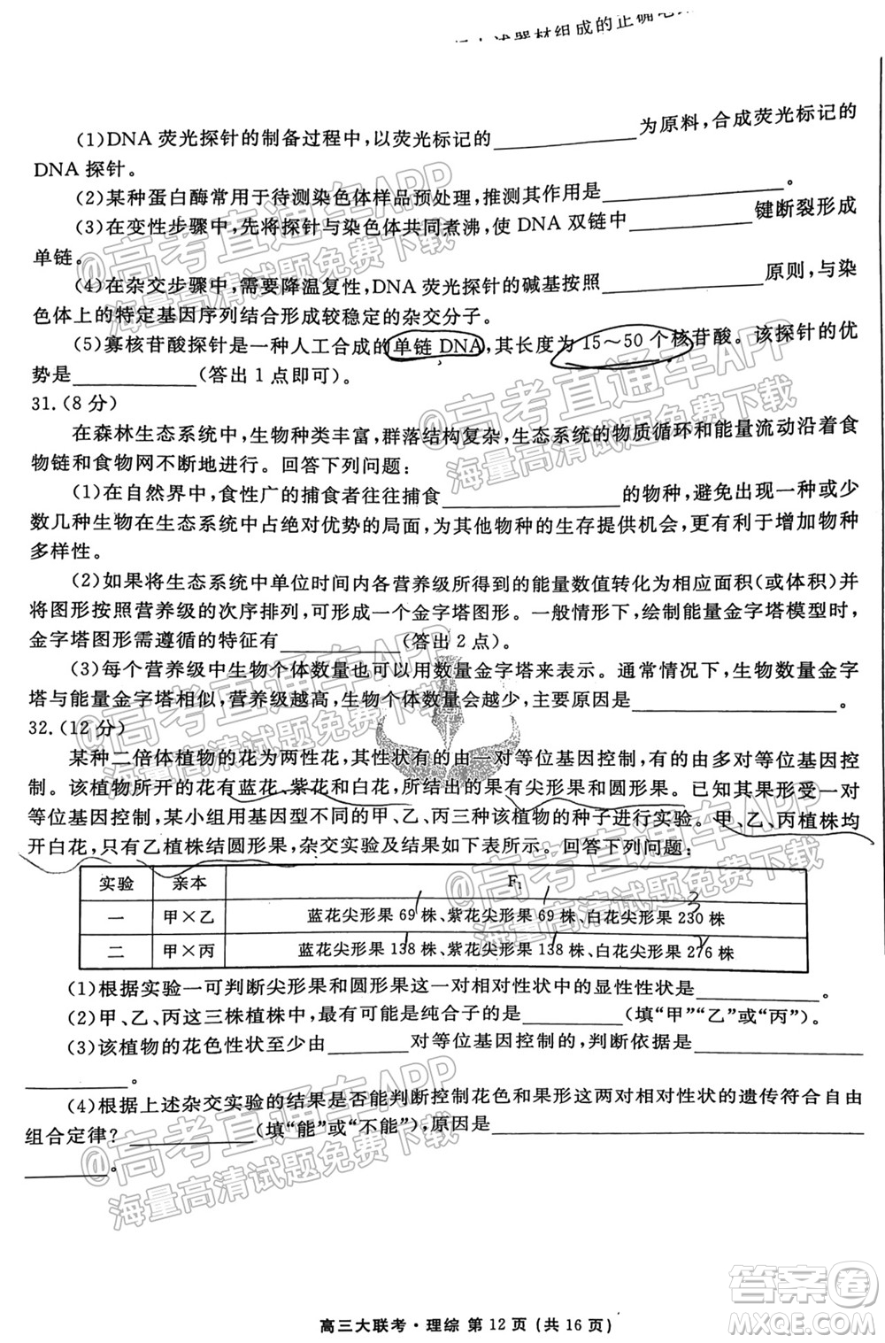 2022屆四省名校高三第一次大聯(lián)考理綜試題及答案