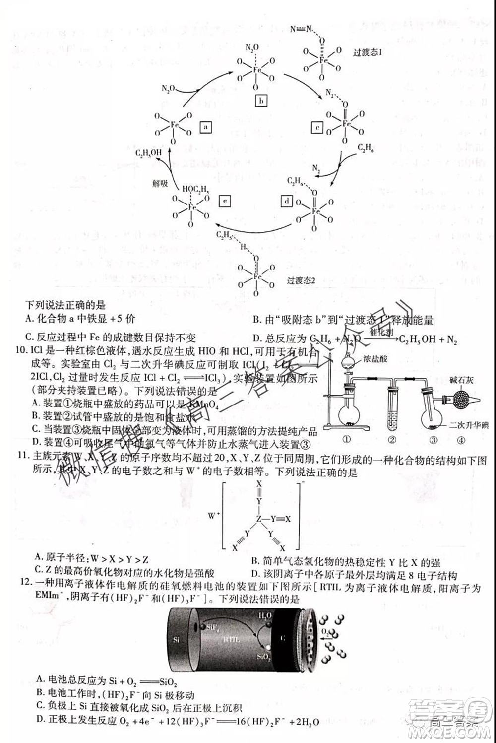 頂尖計劃2022屆高中畢業(yè)班第一次考試理科綜合試題及答案