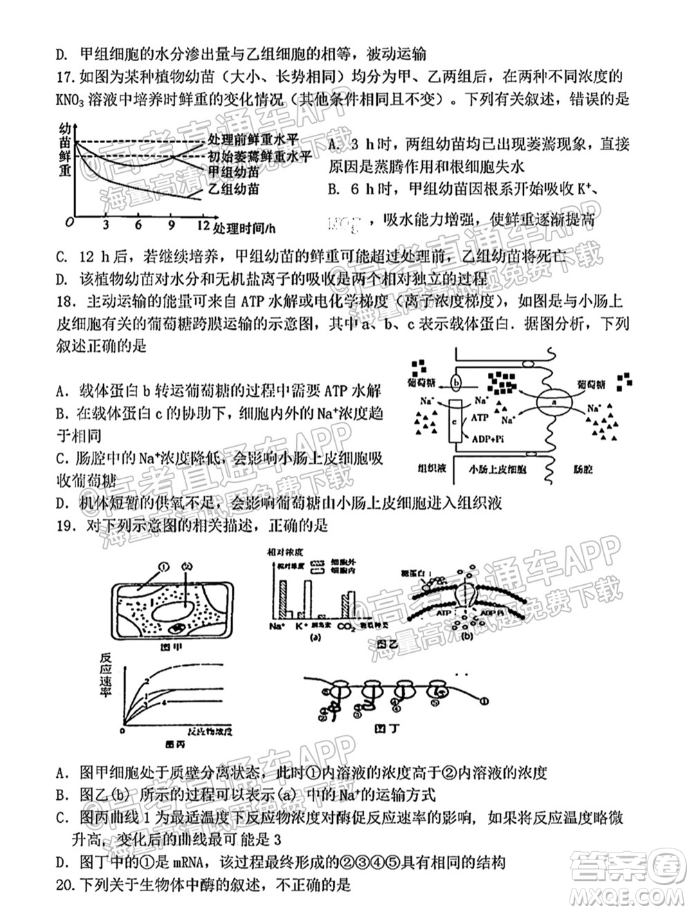 太原五中2021-2022學年度第一學期月考高三生物試題及答案