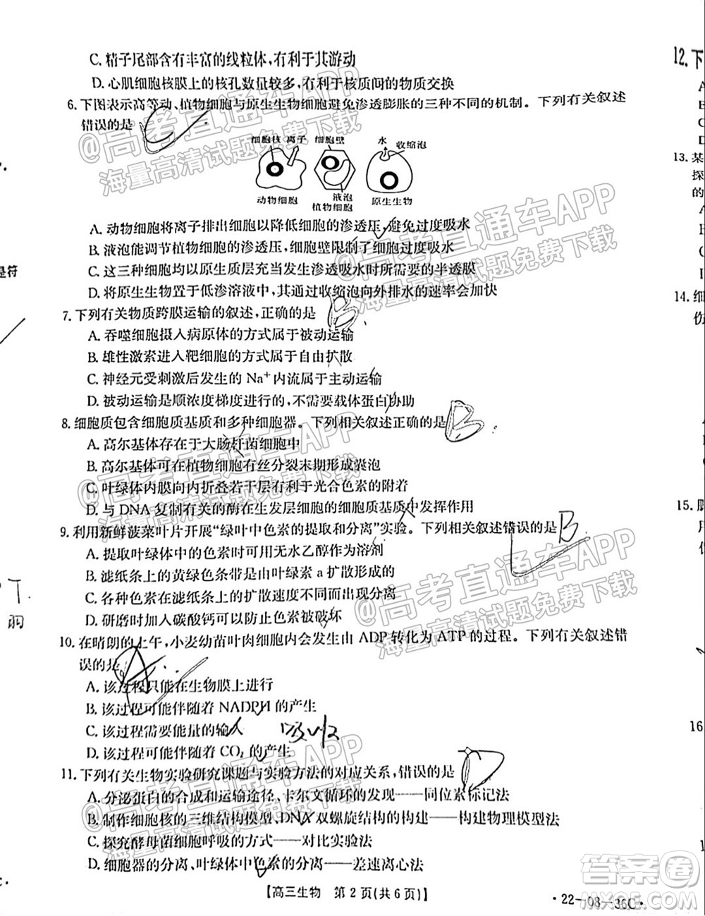 2022屆內(nèi)蒙古金太陽高三9月聯(lián)考生物試題及答案