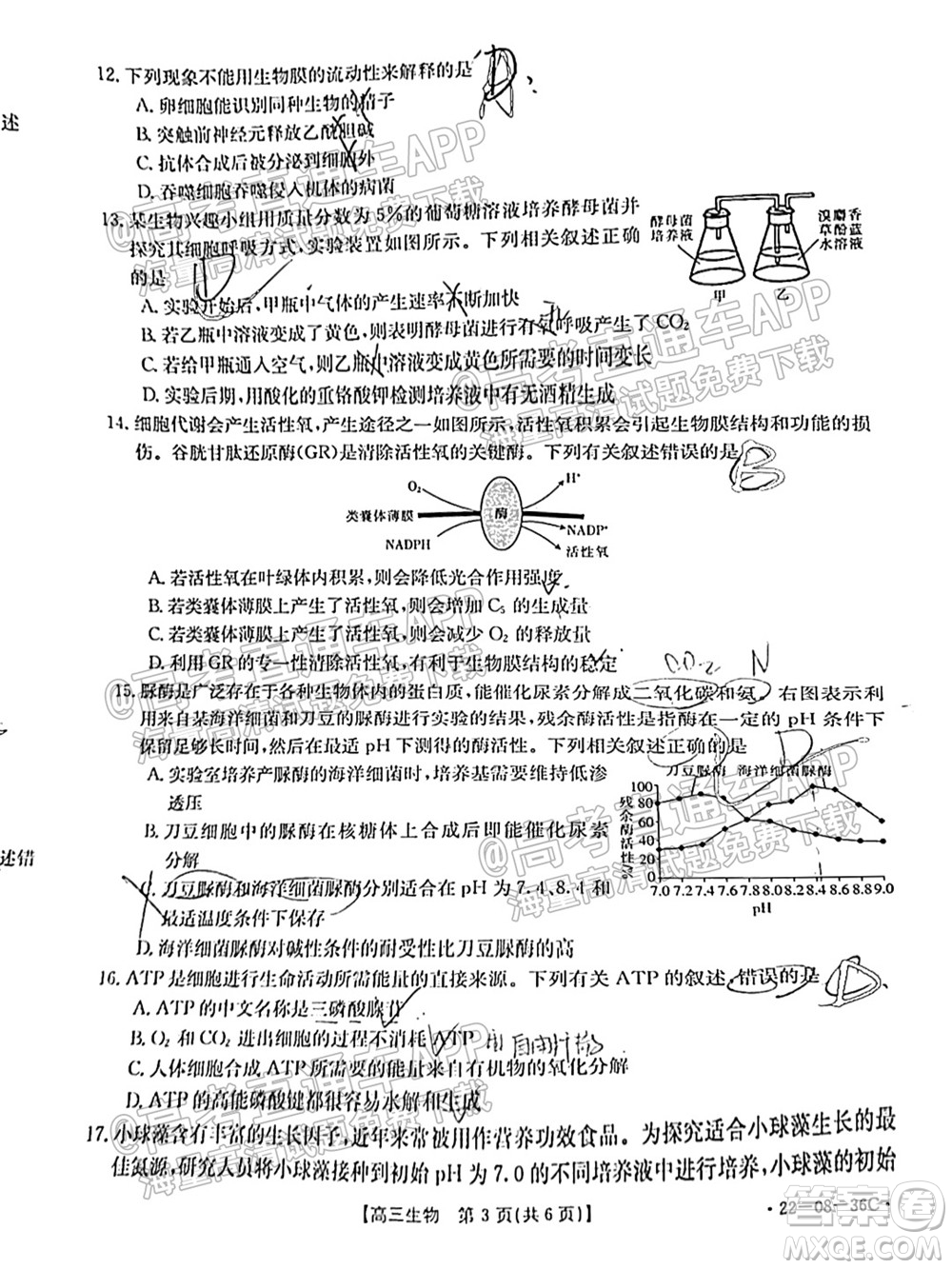 2022屆內(nèi)蒙古金太陽高三9月聯(lián)考生物試題及答案