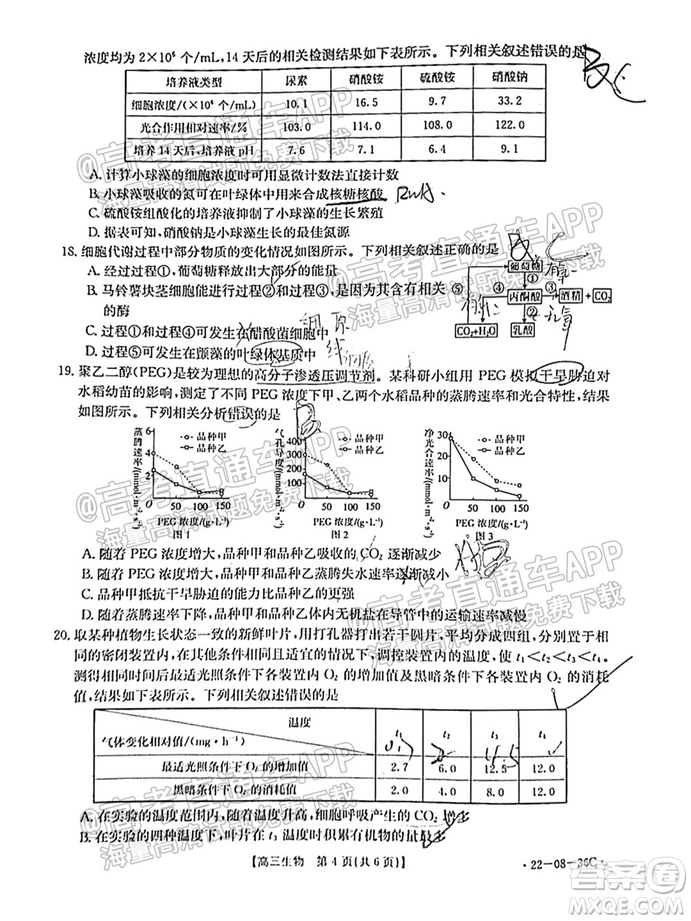 2022屆內(nèi)蒙古金太陽高三9月聯(lián)考生物試題及答案