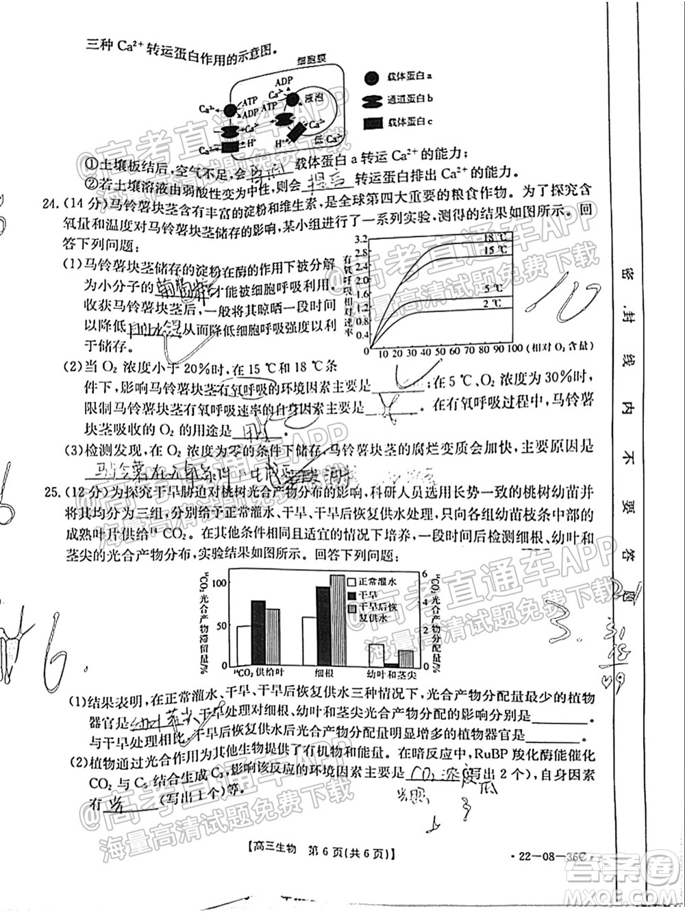 2022屆內(nèi)蒙古金太陽高三9月聯(lián)考生物試題及答案