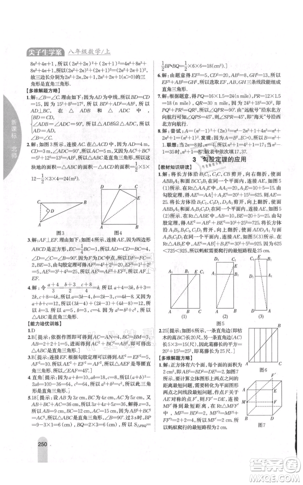 吉林人民出版社2021尖子生學(xué)案八年級(jí)上冊(cè)數(shù)學(xué)北師大版參考答案