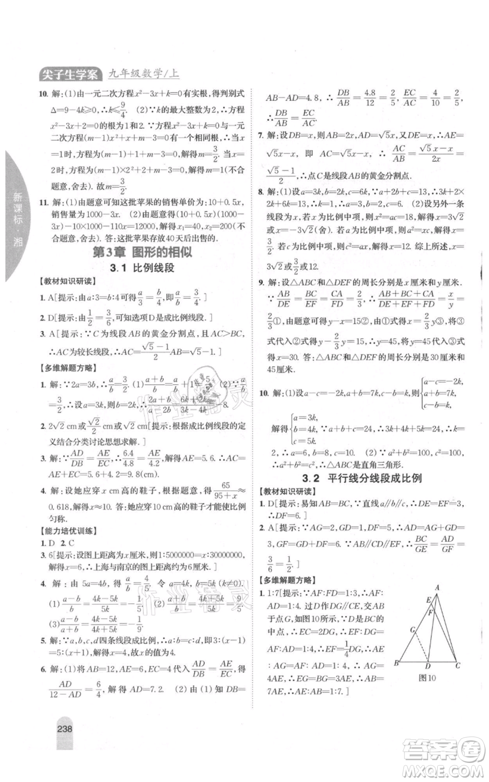 吉林人民出版社2021尖子生學(xué)案九年級上冊數(shù)學(xué)湘教版參考答案