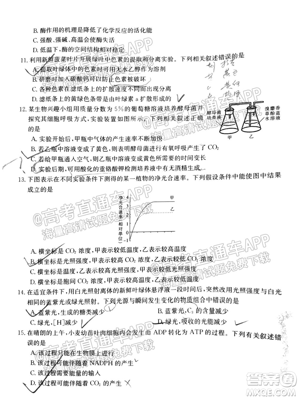 2022屆吉林金太陽高三9月聯(lián)考生物試題及答案