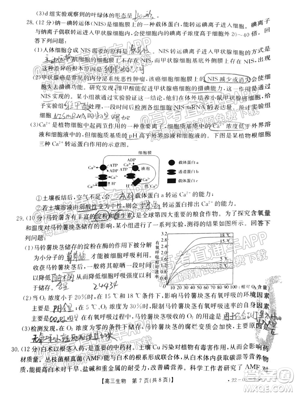 2022屆吉林金太陽高三9月聯(lián)考生物試題及答案