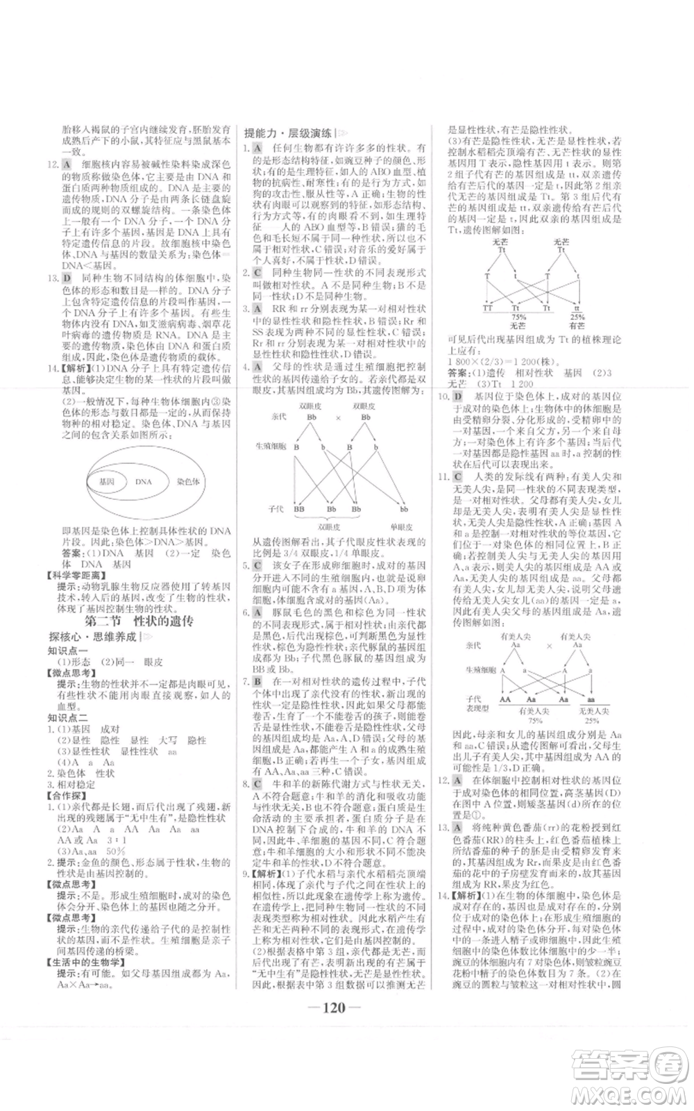 未來出版社2021世紀金榜金榜學案八年級上冊生物濟南版參考答案