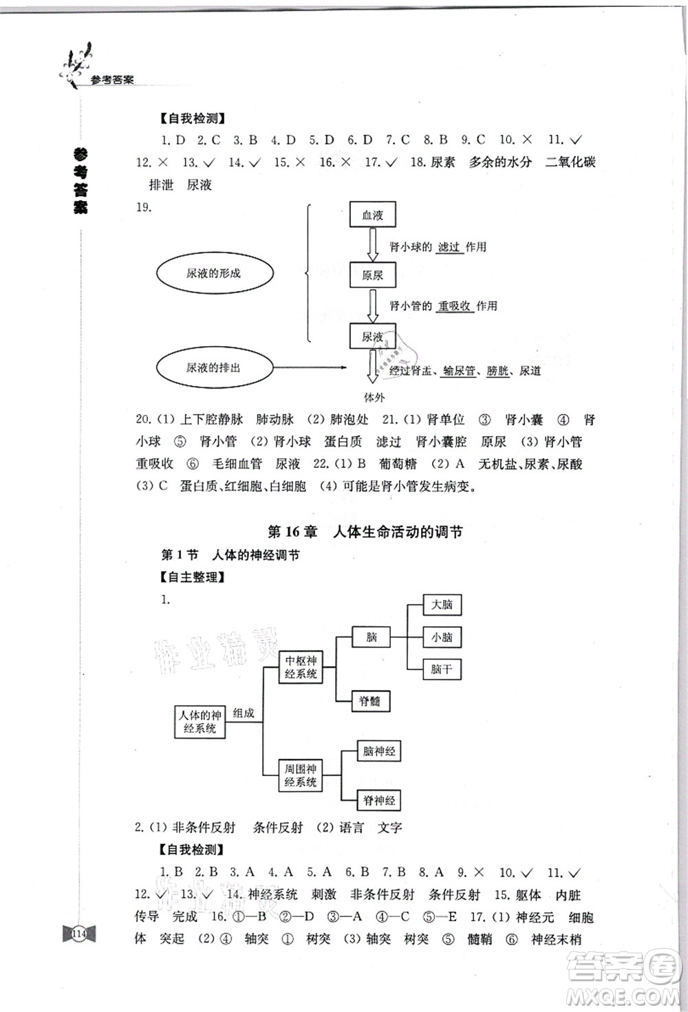 江蘇鳳凰教育出版社2021學(xué)習(xí)與評價八年級生物上冊蘇科版答案