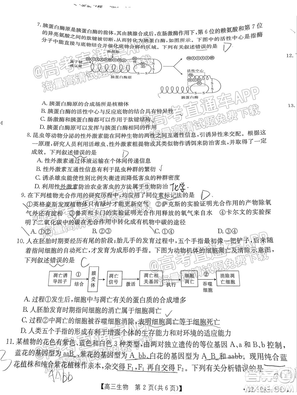 2022屆廣東金太陽(yáng)9月聯(lián)考高三一輪復(fù)習(xí)調(diào)研考生物試題及答案