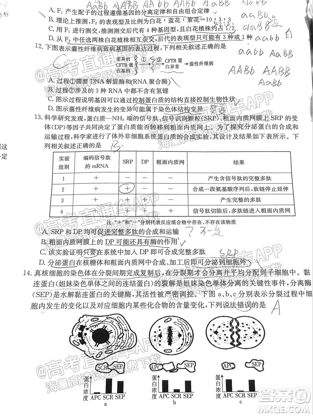 2022屆廣東金太陽(yáng)9月聯(lián)考高三一輪復(fù)習(xí)調(diào)研考生物試題及答案