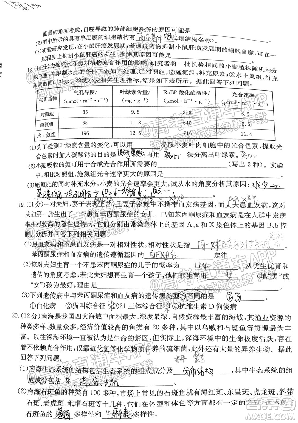 2022屆廣東金太陽(yáng)9月聯(lián)考高三一輪復(fù)習(xí)調(diào)研考生物試題及答案