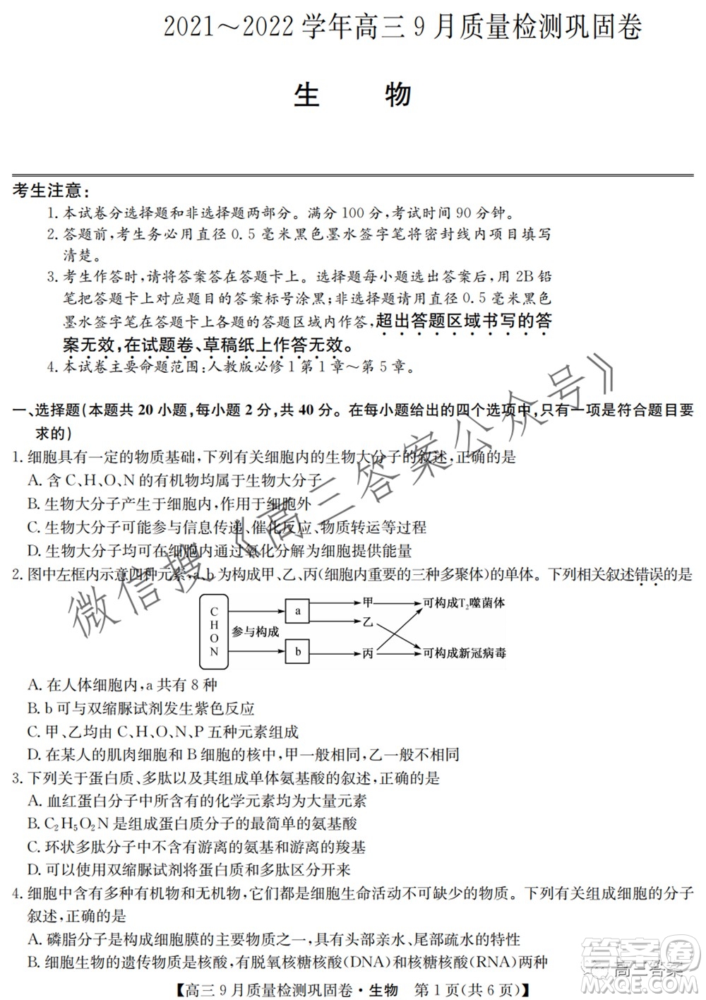 九師聯(lián)盟2021-2022學年高三9月質量檢測鞏固卷生物試題及答案