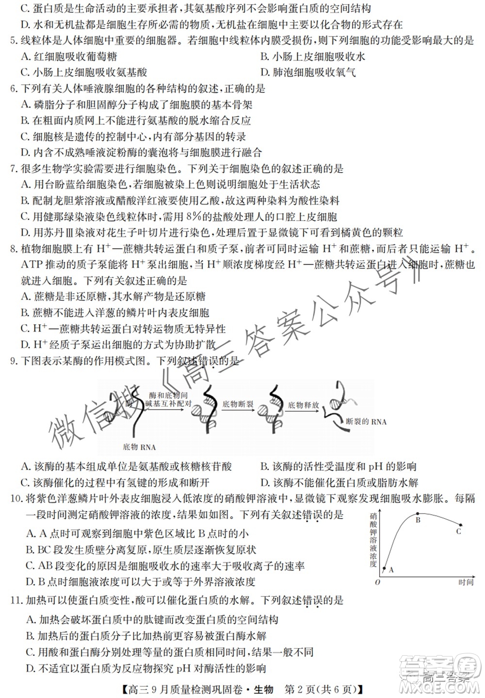 九師聯(lián)盟2021-2022學年高三9月質量檢測鞏固卷生物試題及答案