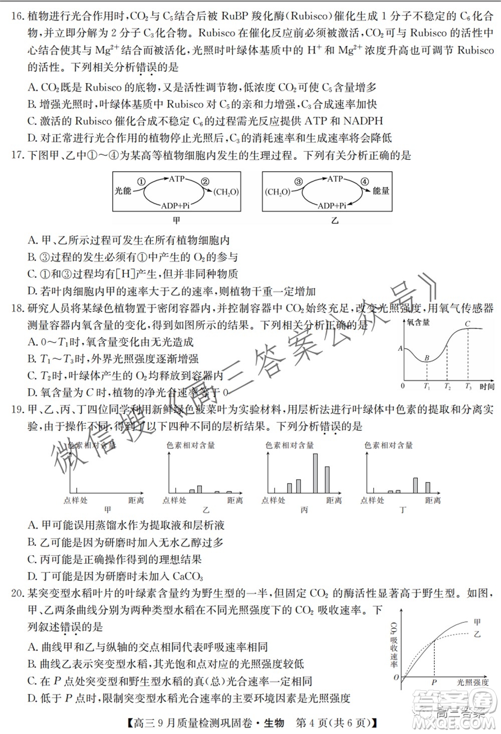 九師聯(lián)盟2021-2022學年高三9月質量檢測鞏固卷生物試題及答案