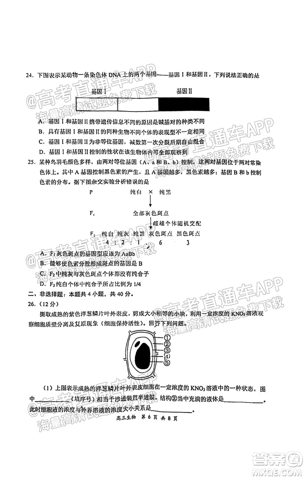 2021-2022學(xué)年上學(xué)期全國百強(qiáng)名校領(lǐng)軍考試高三生物試卷及答案