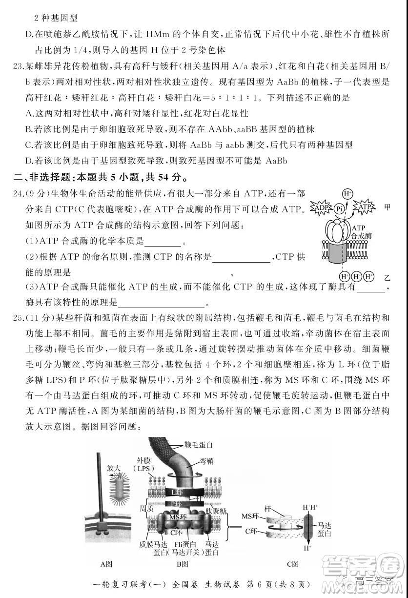 百師聯(lián)盟2022屆高三一輪復習聯(lián)考一全國卷生物試卷及答案