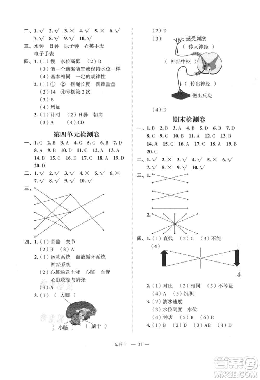 浙江工商大學(xué)出版社2021名師面對(duì)面先學(xué)后練五年級(jí)上冊(cè)科學(xué)人教版參考答案