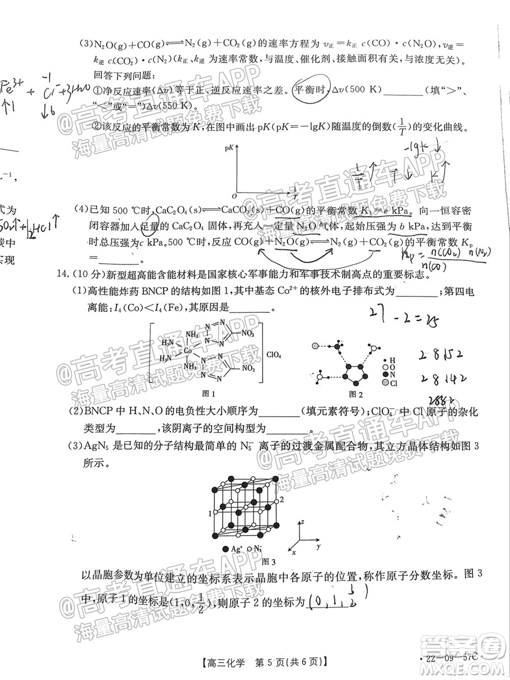 2022屆福建金太陽高三10月聯(lián)考化學試題及答案