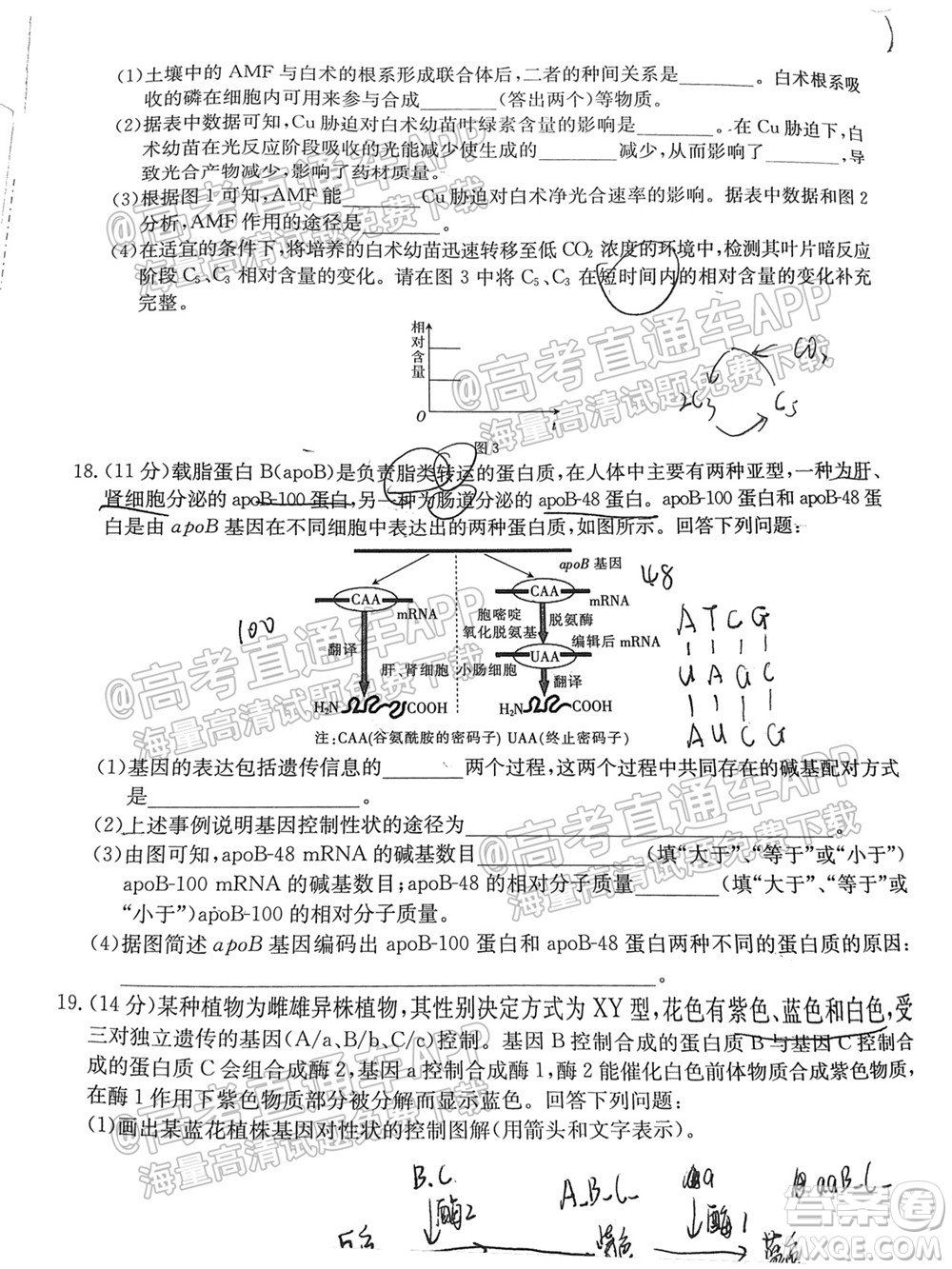 2022屆福建金太陽(yáng)高三10月聯(lián)考生物試題及答案