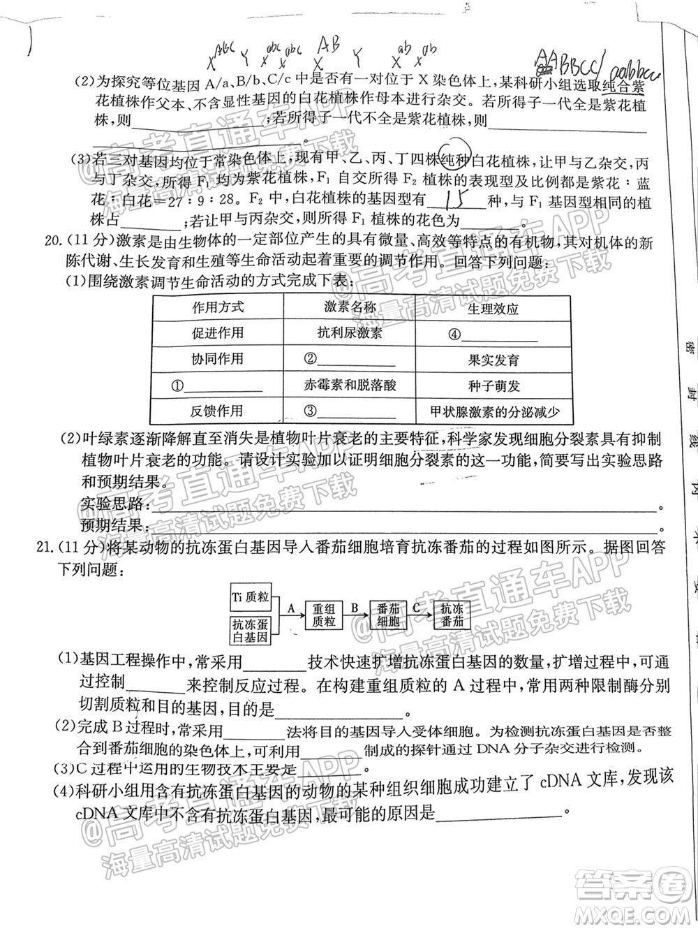 2022屆福建金太陽(yáng)高三10月聯(lián)考生物試題及答案