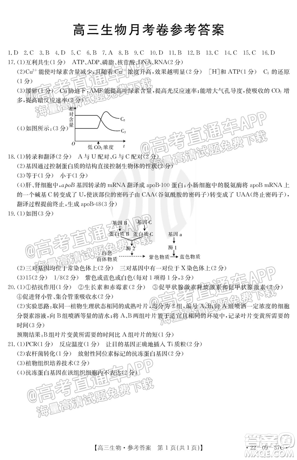 2022屆福建金太陽(yáng)高三10月聯(lián)考生物試題及答案