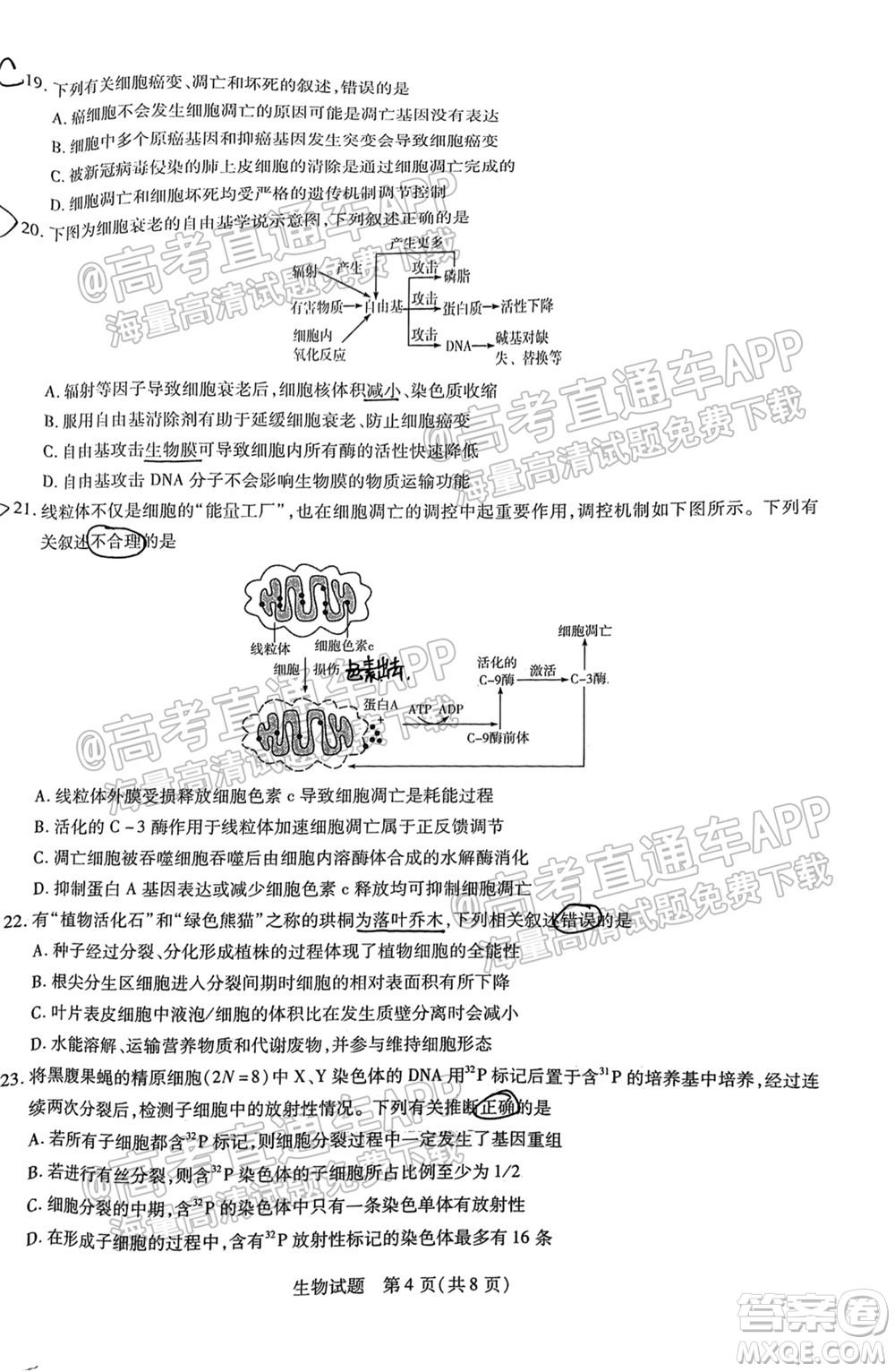 皖豫名校聯(lián)盟體2022屆高中畢業(yè)班第一次考試生物試題及答案