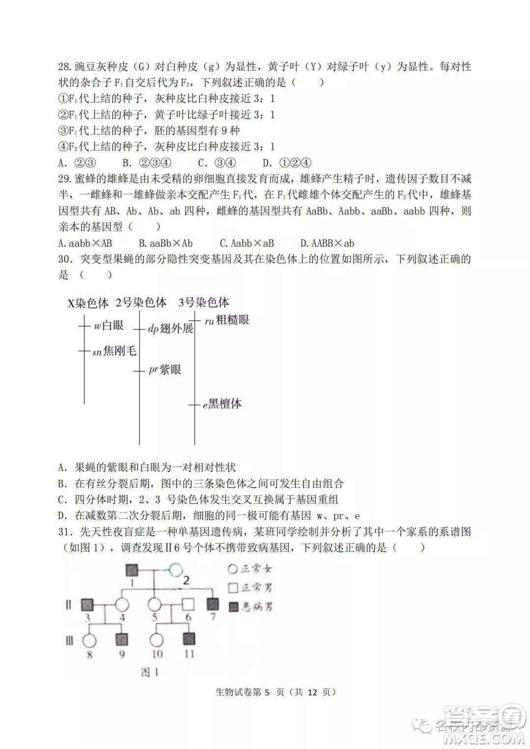 哈三中2021-2022學(xué)年度高三學(xué)年第二次驗收考試生物試卷及答案