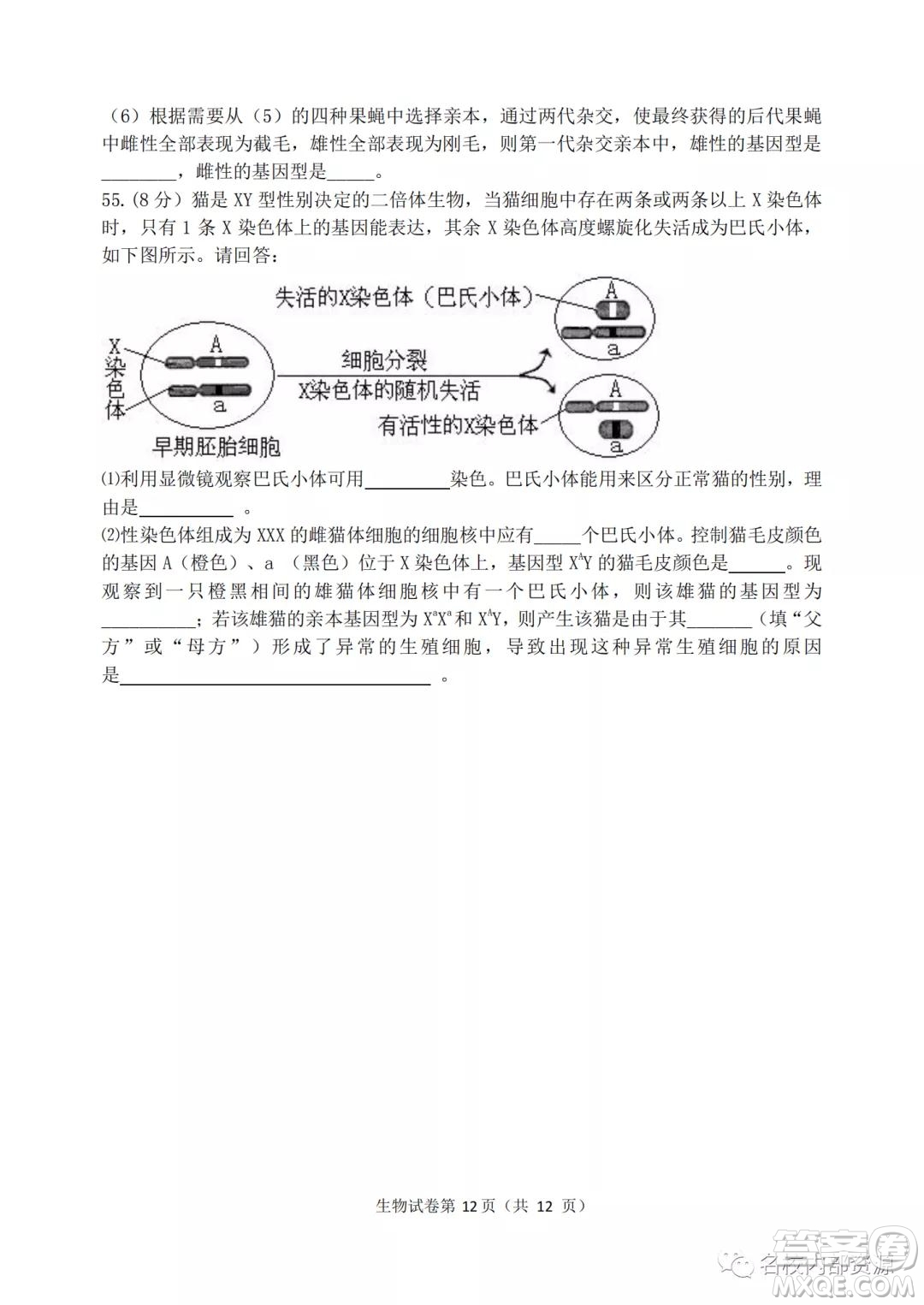 哈三中2021-2022學(xué)年度高三學(xué)年第二次驗收考試生物試卷及答案