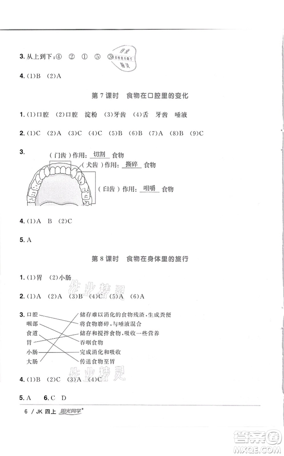 江西教育出版社2021陽(yáng)光同學(xué)課時(shí)優(yōu)化作業(yè)四年級(jí)科學(xué)上冊(cè)JK教科版答案