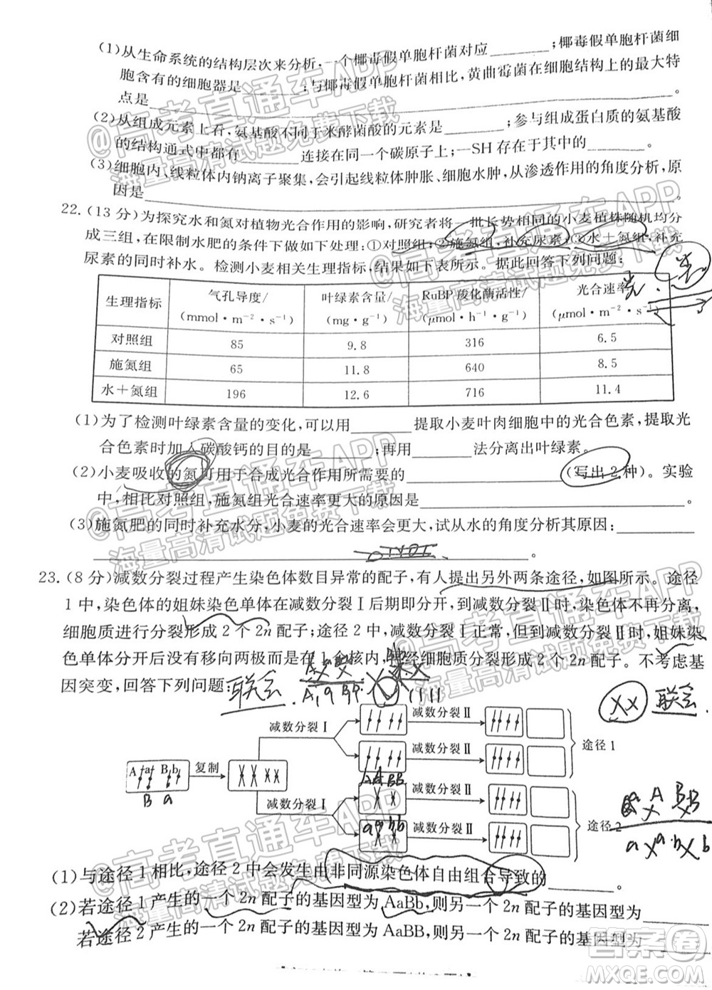 2022屆山東金太陽(yáng)10月聯(lián)考高三第一次備考監(jiān)測(cè)聯(lián)合考試生物試題及答案