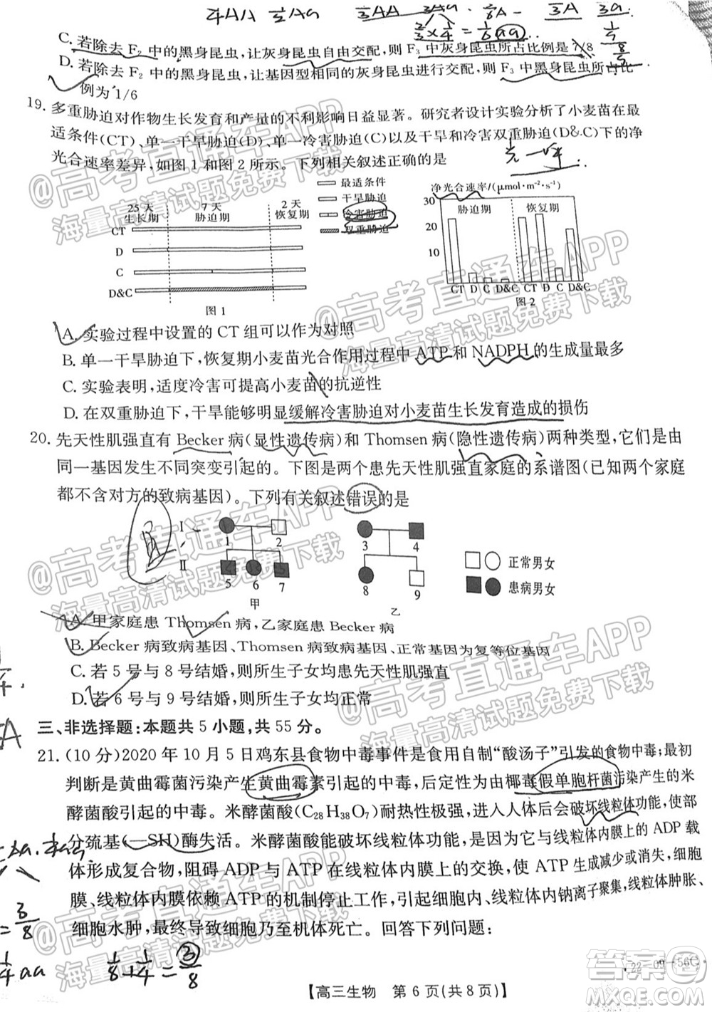 2022屆山東金太陽(yáng)10月聯(lián)考高三第一次備考監(jiān)測(cè)聯(lián)合考試生物試題及答案