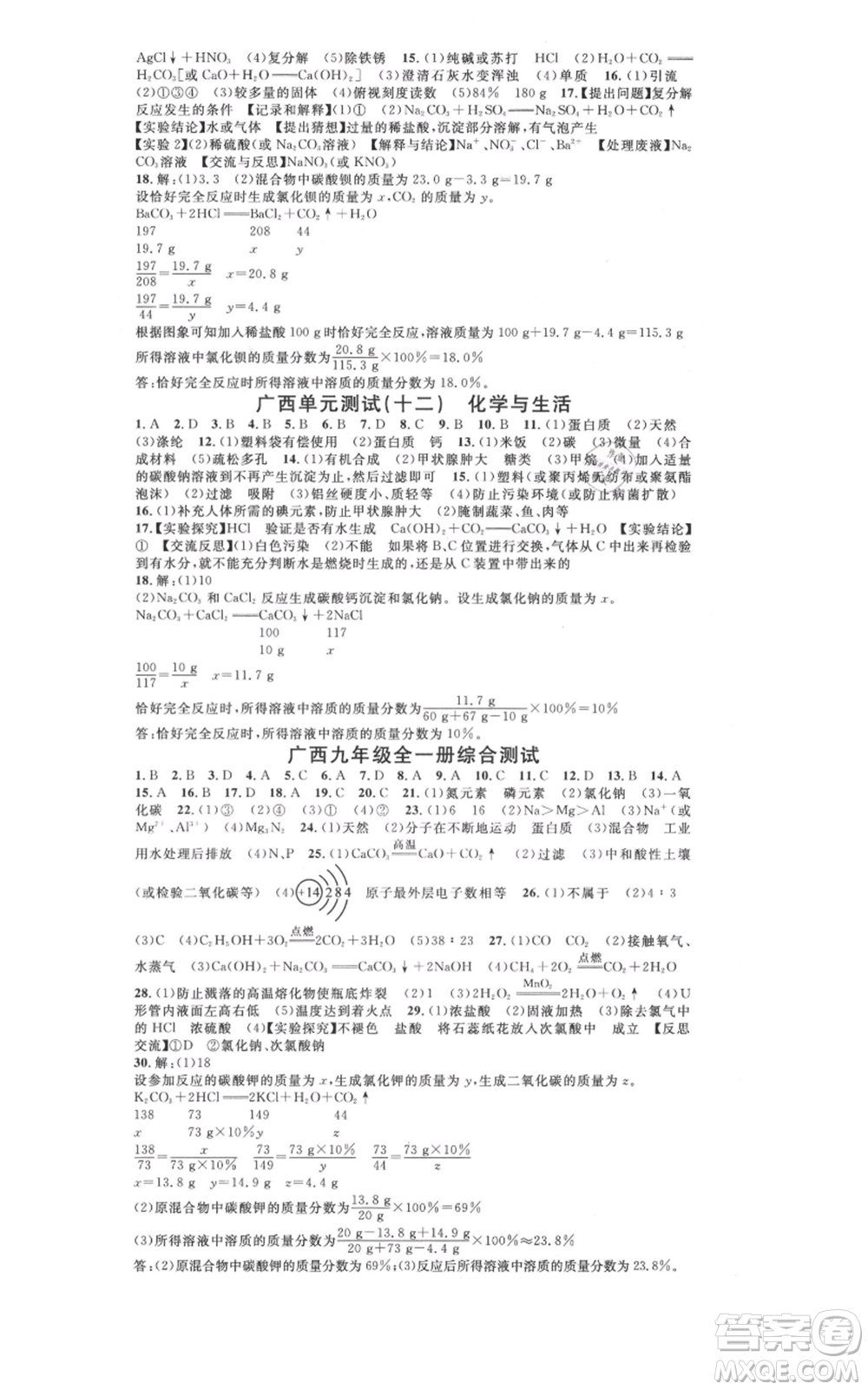 廣東經(jīng)濟出版社2021名校課堂九年級化學(xué)人教版背記手冊廣西專版參考答案 