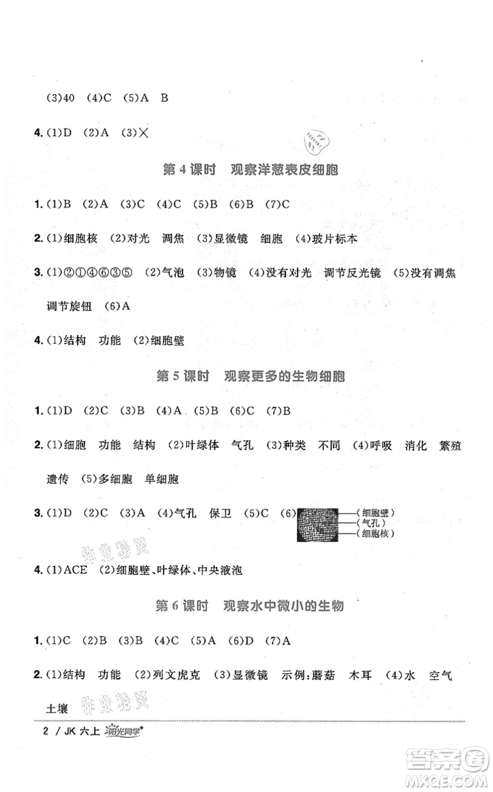 江西教育出版社2021陽光同學(xué)課時優(yōu)化作業(yè)六年級科學(xué)上冊JK教科版答案