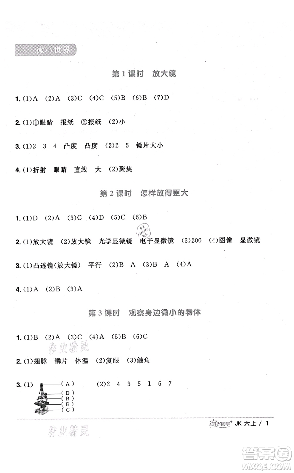 江西教育出版社2021陽光同學(xué)課時優(yōu)化作業(yè)六年級科學(xué)上冊JK教科版答案