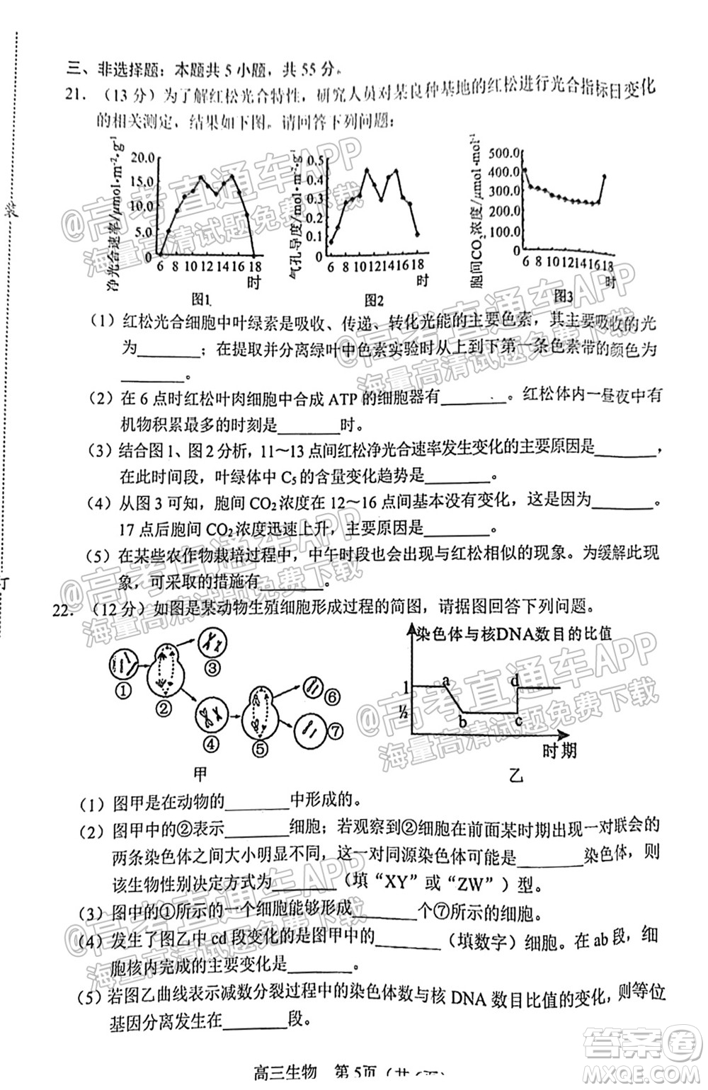 2021-2022學(xué)年度上學(xué)期沈陽市郊聯(lián)體高三10月月考生物試題及答案