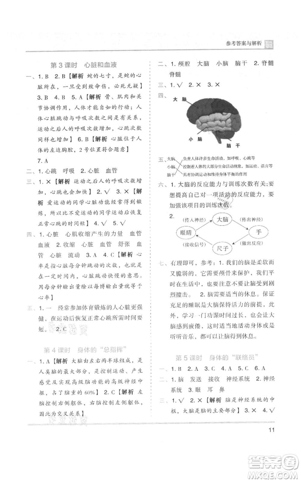 湖南師范大學(xué)出版社2021木頭馬分層課課練五年級上冊科學(xué)教科版參考答案