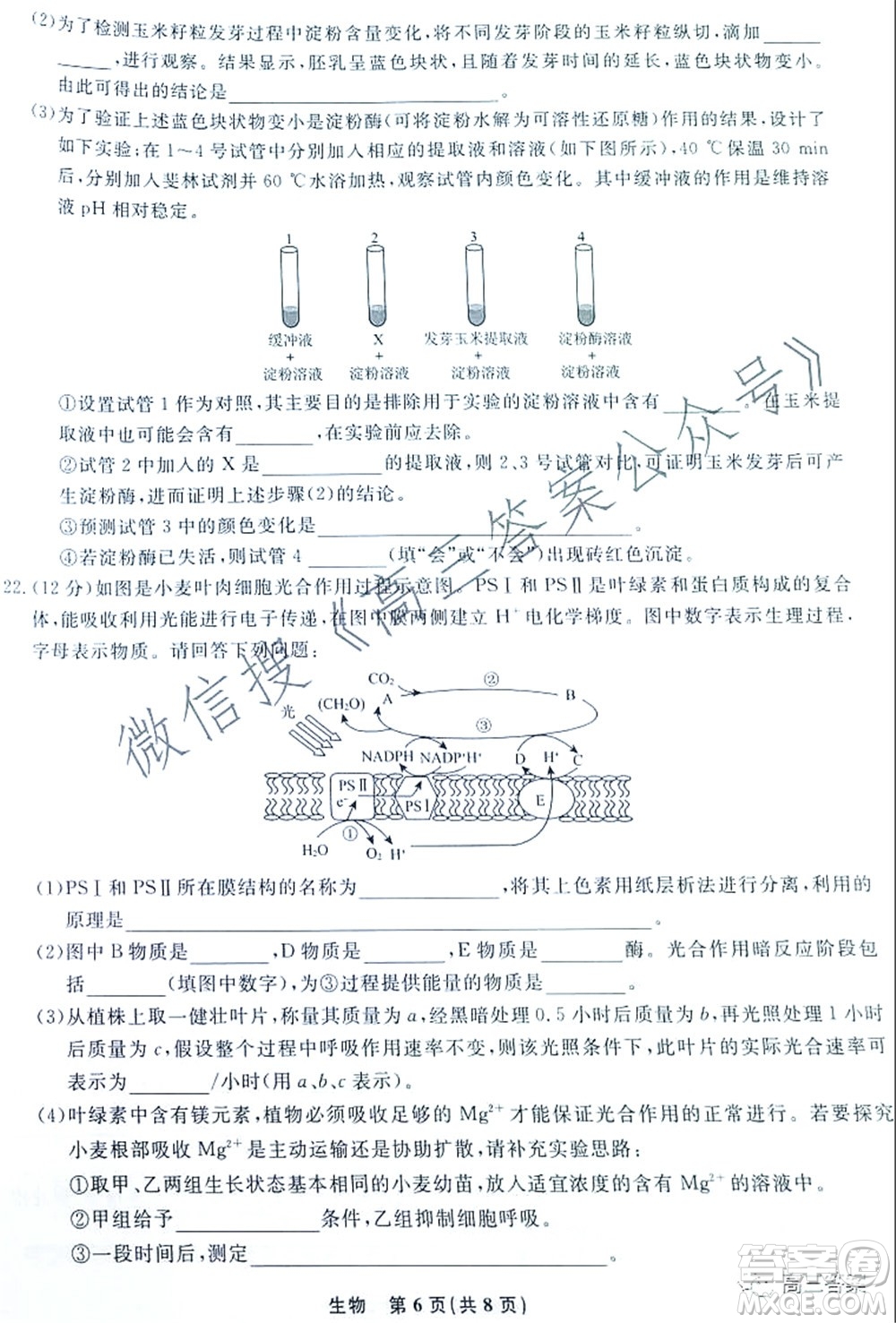 遼寧省名校聯(lián)盟2022屆高三10月份聯(lián)合考試生物試題及答案