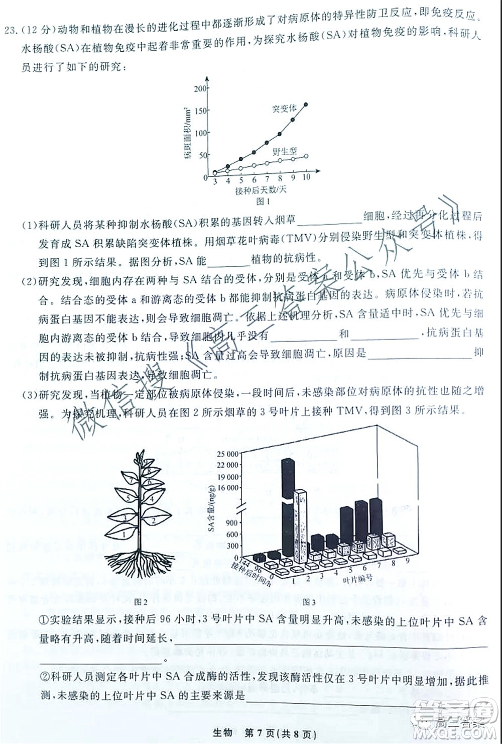 遼寧省名校聯(lián)盟2022屆高三10月份聯(lián)合考試生物試題及答案