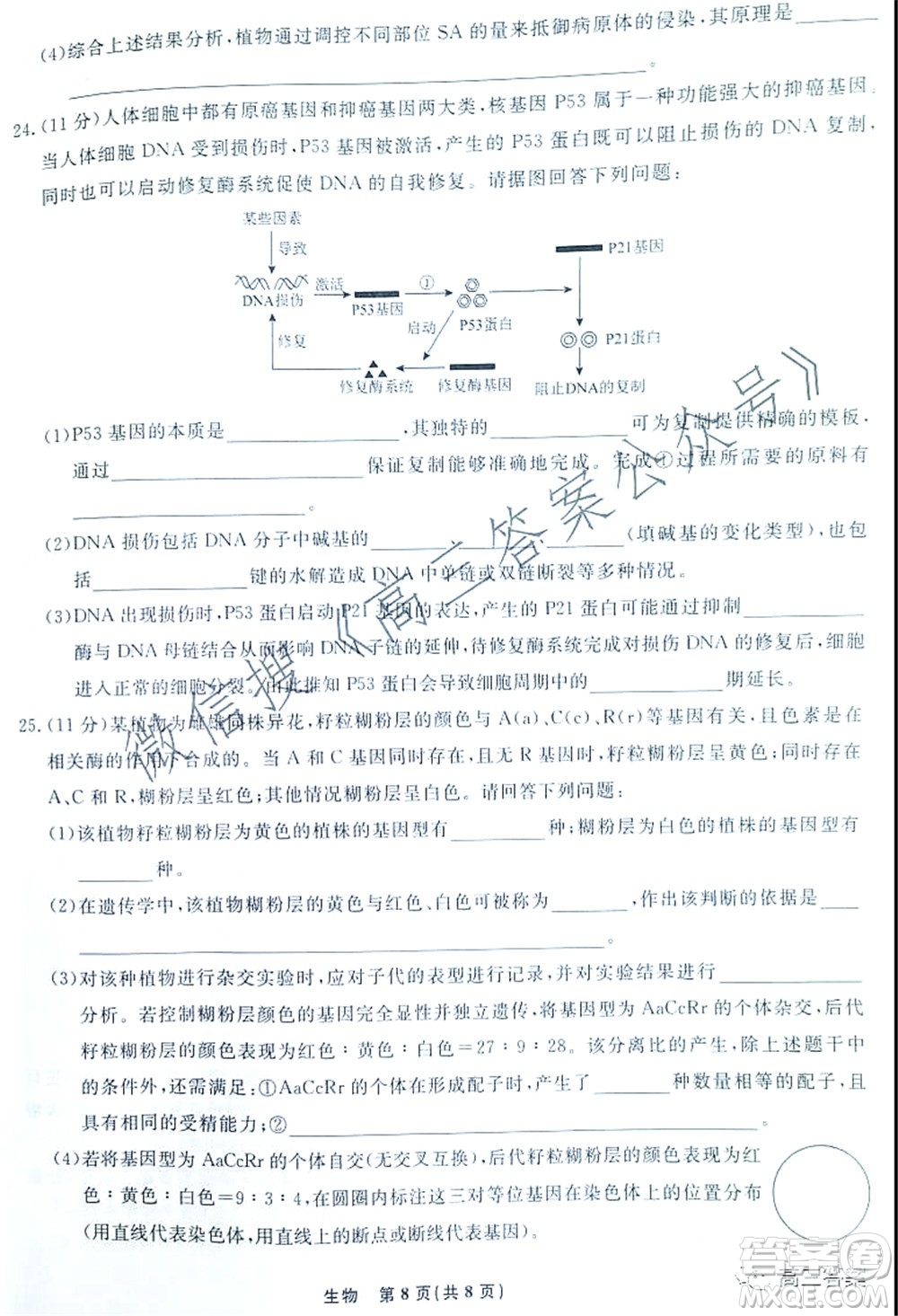 遼寧省名校聯(lián)盟2022屆高三10月份聯(lián)合考試生物試題及答案