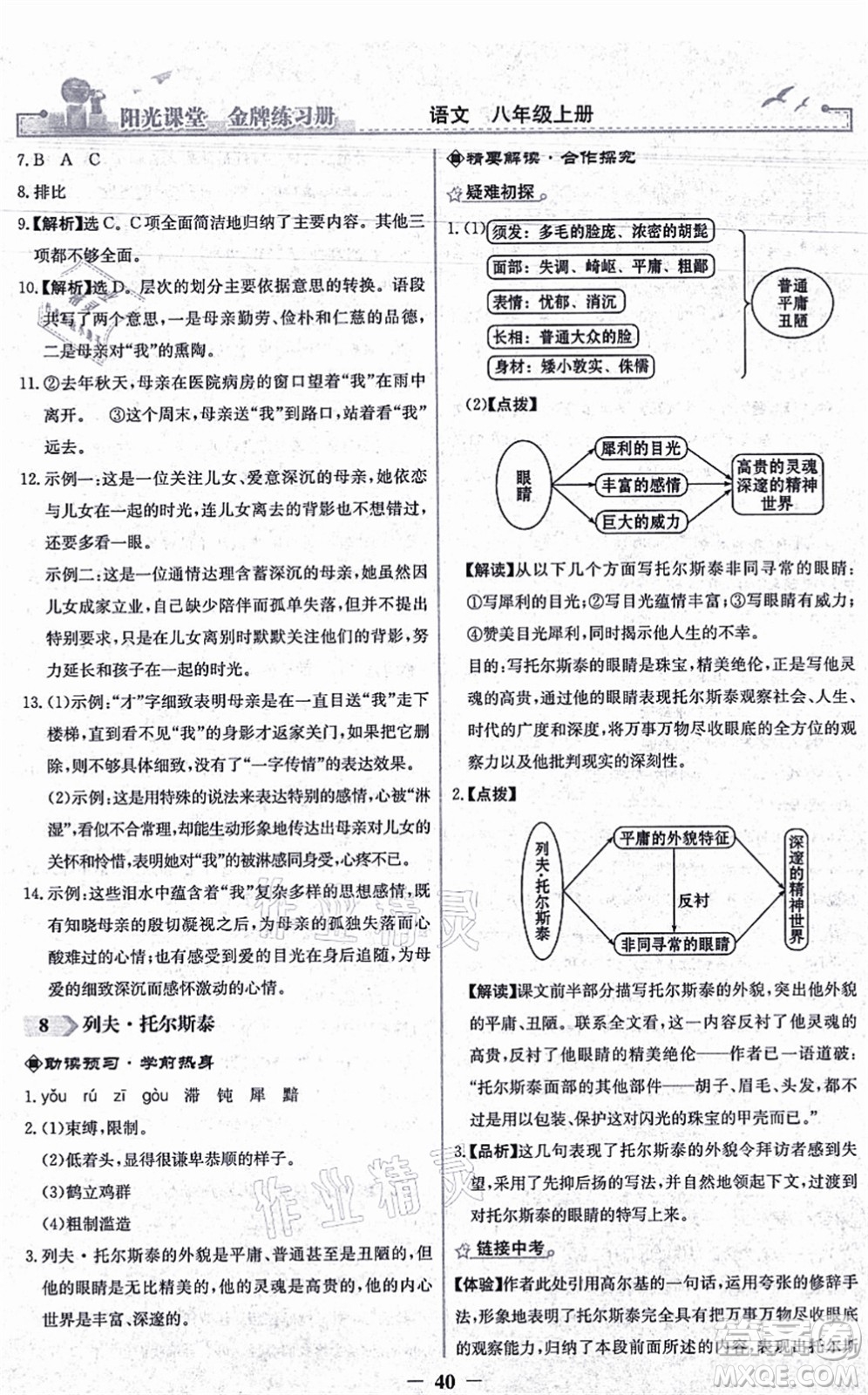 人民教育出版社2021陽(yáng)光課堂金牌練習(xí)冊(cè)八年級(jí)語(yǔ)文上冊(cè)人教版答案