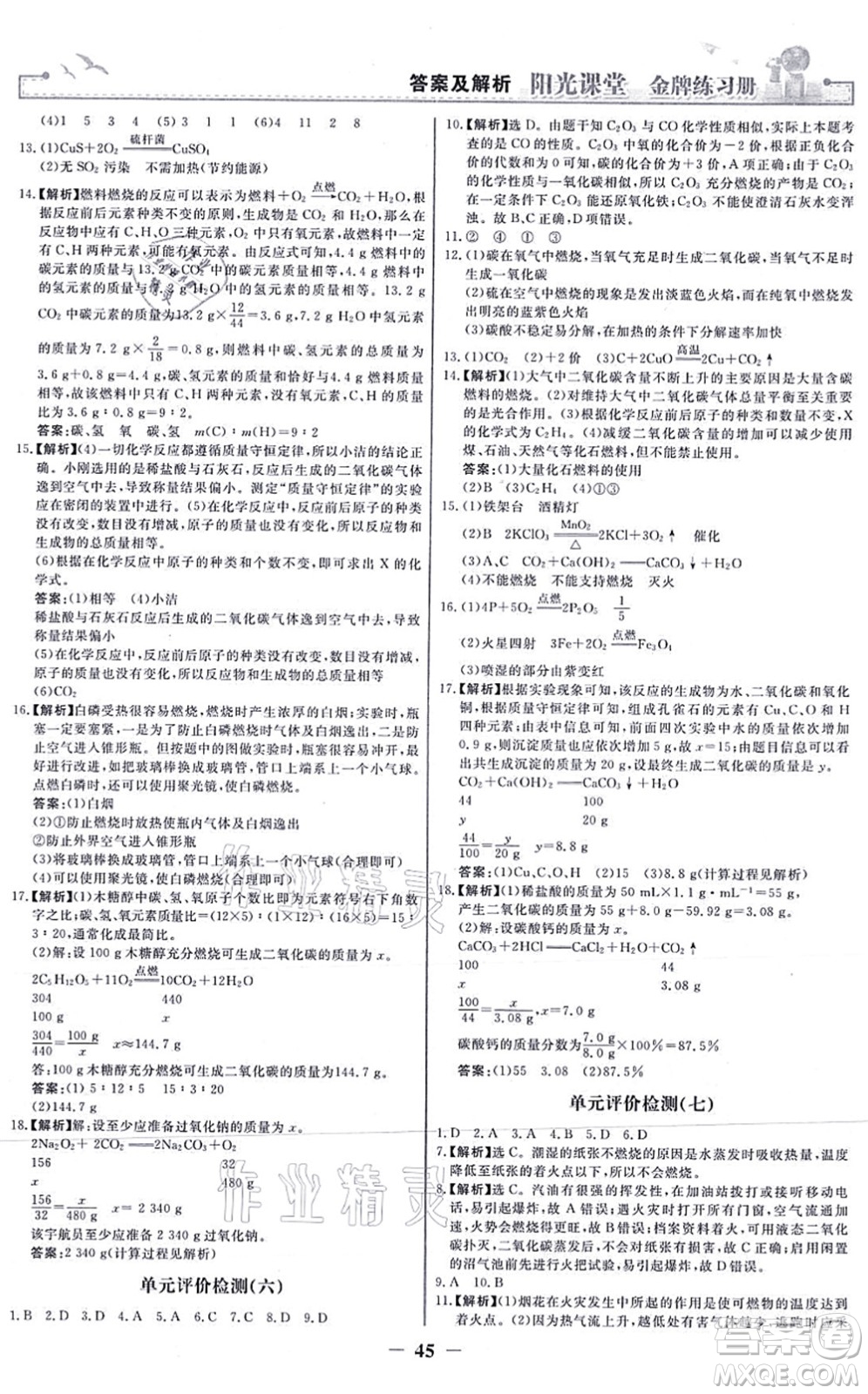 人民教育出版社2021陽(yáng)光課堂金牌練習(xí)冊(cè)九年級(jí)化學(xué)上冊(cè)人教版答案