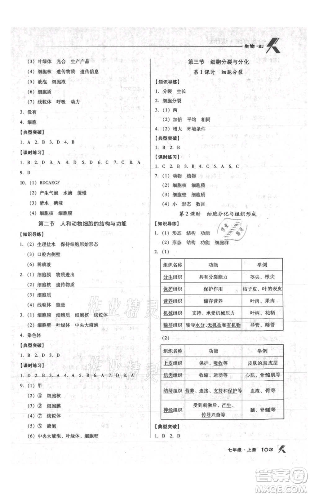 遼海出版社2021全優(yōu)點練課計劃七年級上冊生物蘇教版參考答案