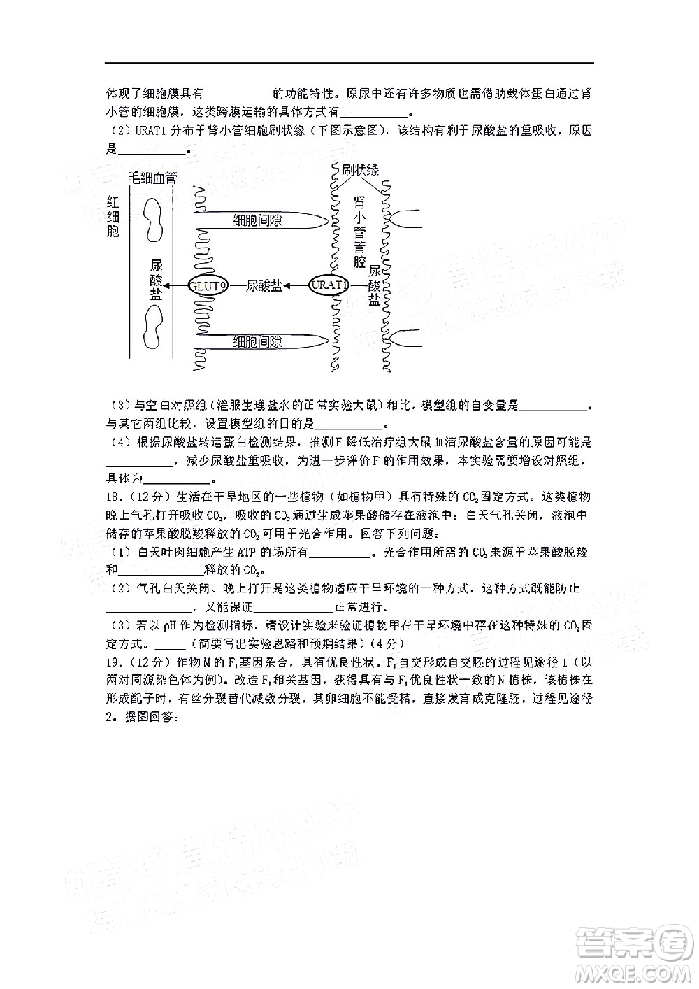 深圳市第七高級(jí)中學(xué)2022屆高三第一次月考試題生物答案