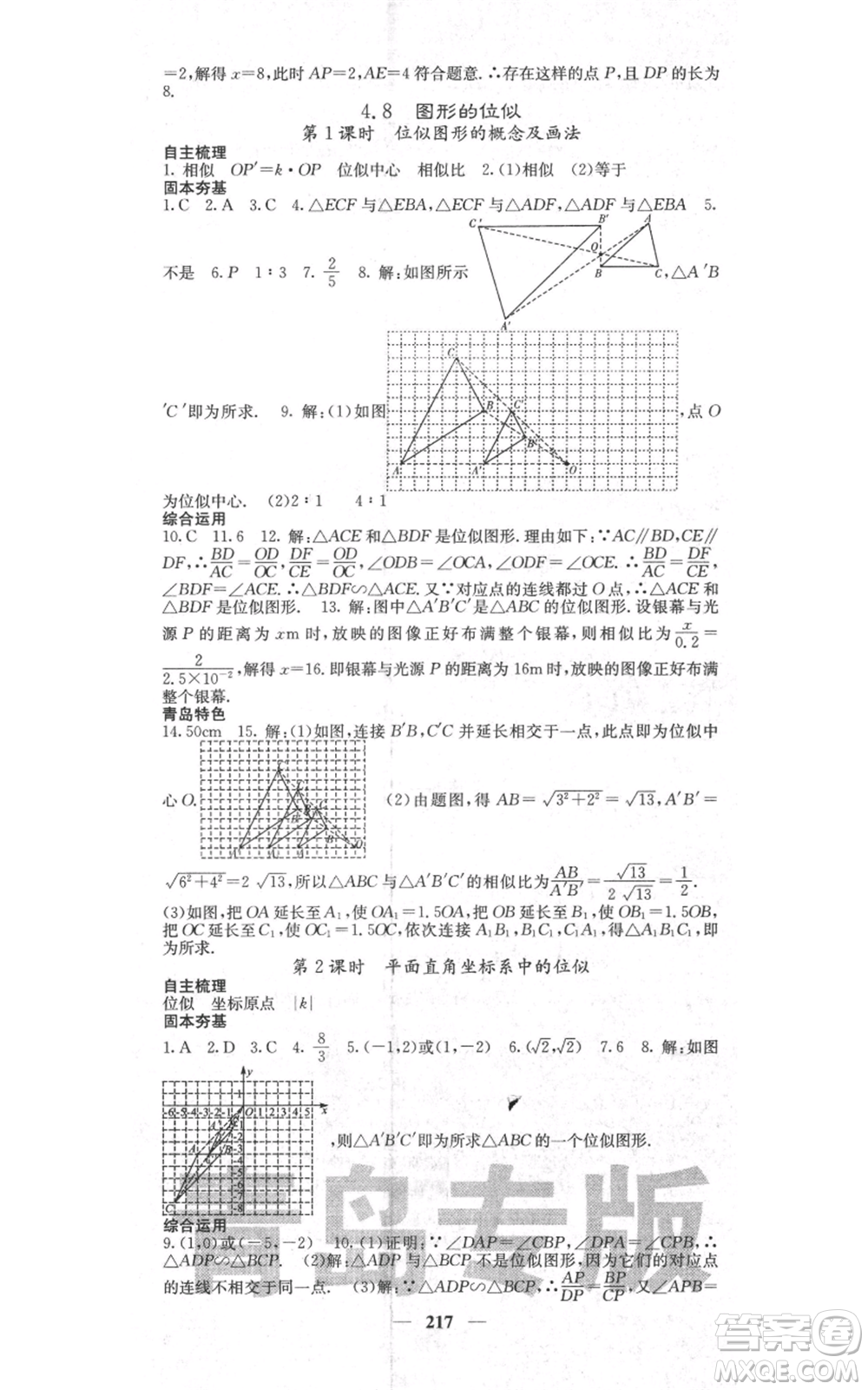 四川大學出版社2021名校課堂內(nèi)外九年級上冊數(shù)學北師大版青島專版參考答案